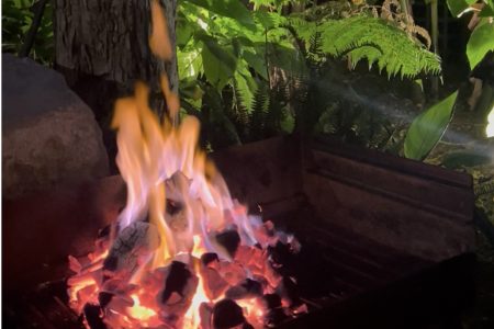 BBQ Evening at Beet Botanical Garden
